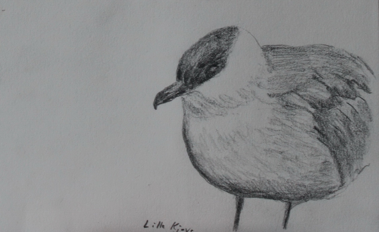 Lille Kjove